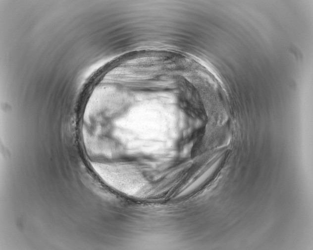 X0000090720971200708101550