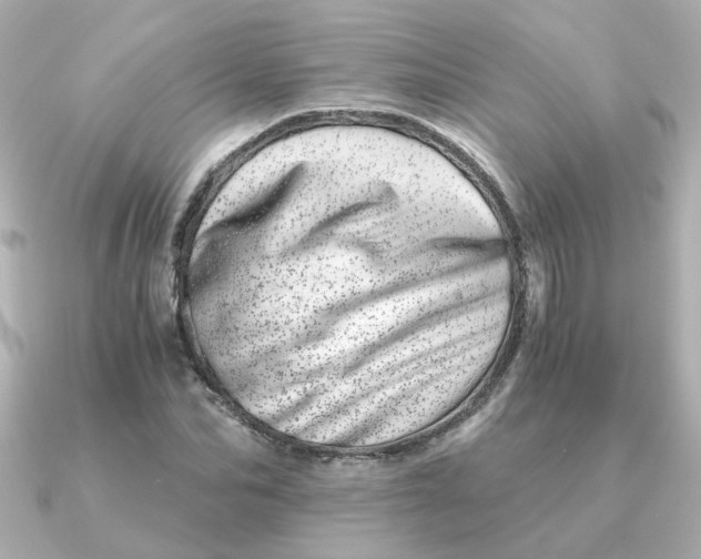 X0000090720974200708101550