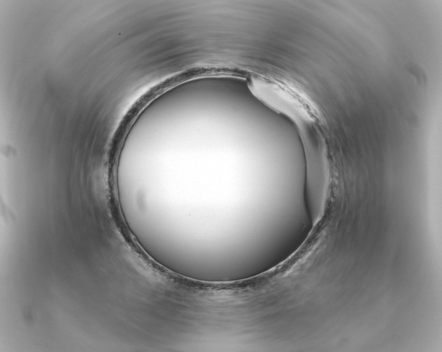 X0000090720976200708101550