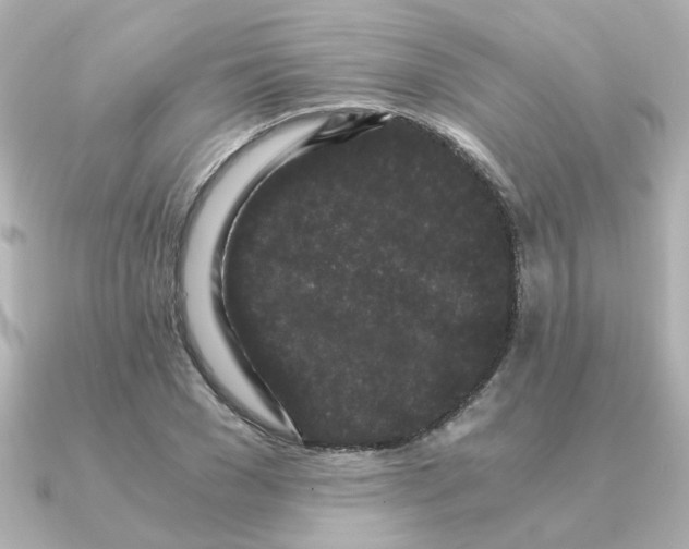 X0000090720977200708101550