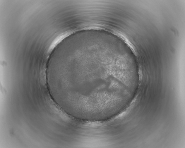 X0000090720978200708101550