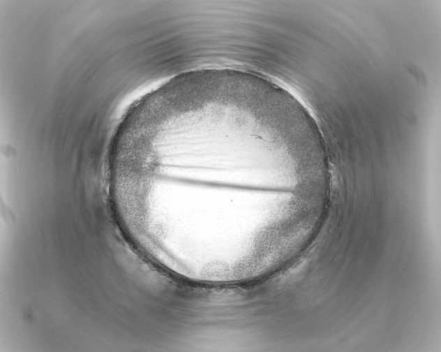 X0000090720979200708101550