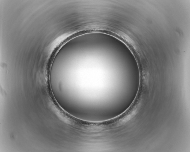 X0000090720981200708101550