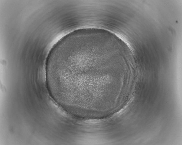 X0000090720982200708101550