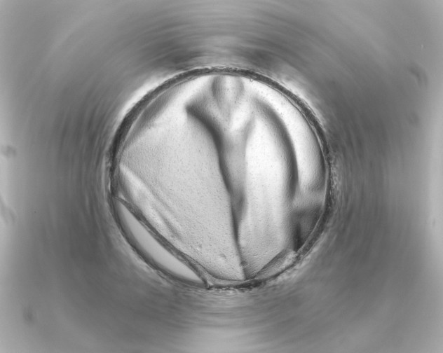 X0000090720983200708101550