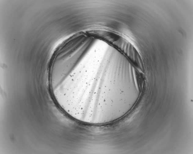 X0000090720987200708101550