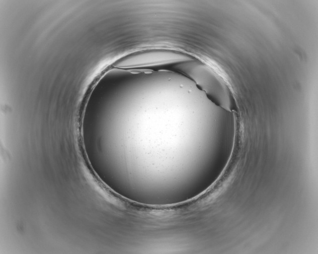 X0000090720989200708101550