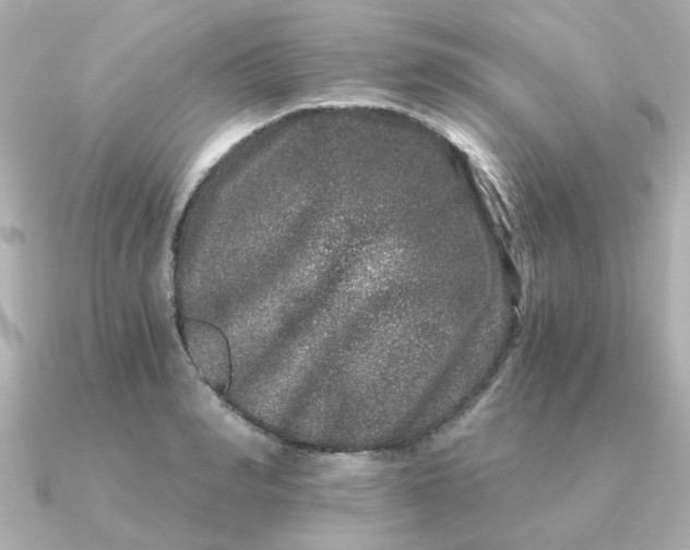 X0000090720990200708101550