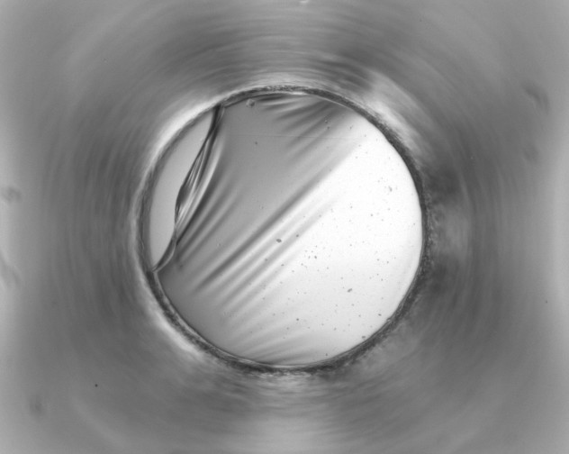 X0000090720991200708101550