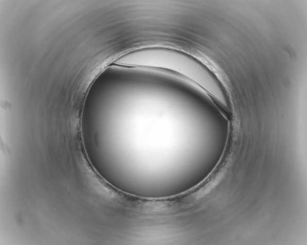 X0000090720993200708101549