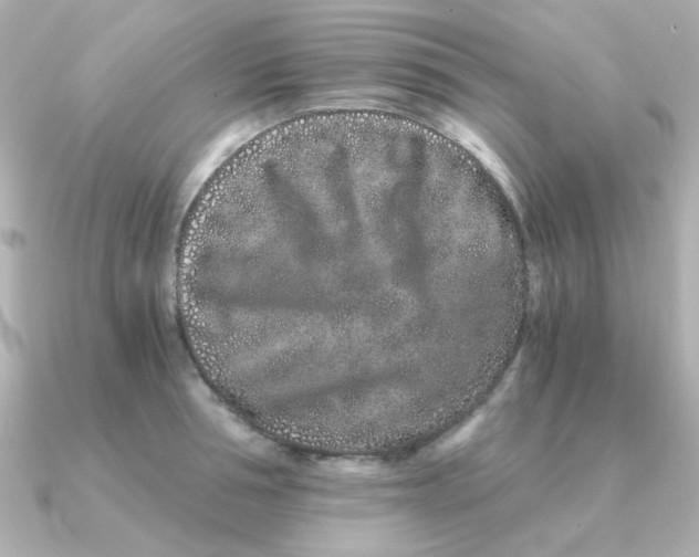 X0000090720994200708101549