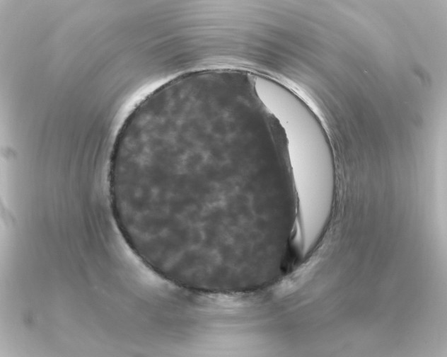 X0000090720995200708101549