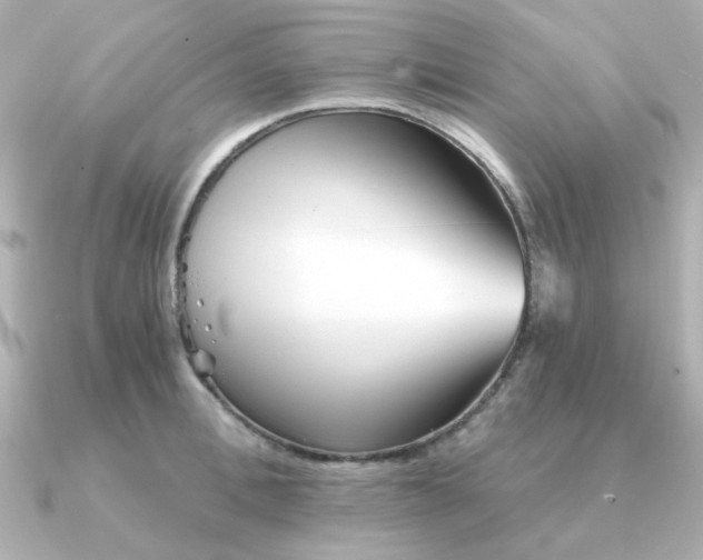 X0000090720996200708101549