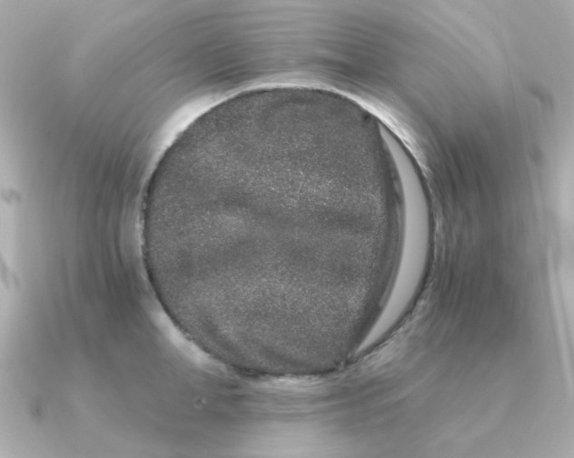 X0000090720998200708101549