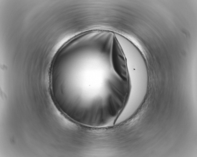 X0000090720999200708101549