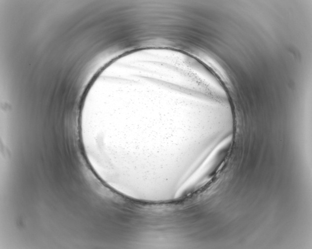 X0000090721000200708101549