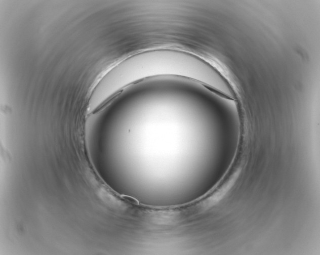X0000090721001200708101549