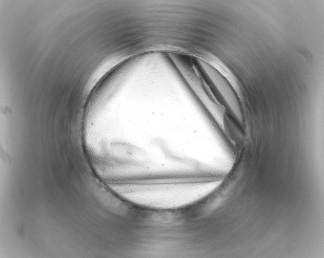 X0000090721002200708101549