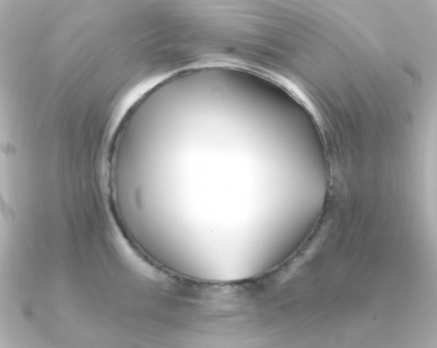 X0000090721003200708101549