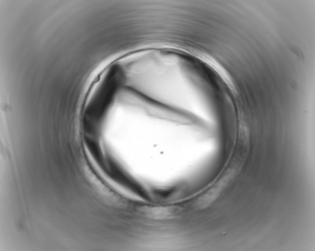 X0000090721004200708101549