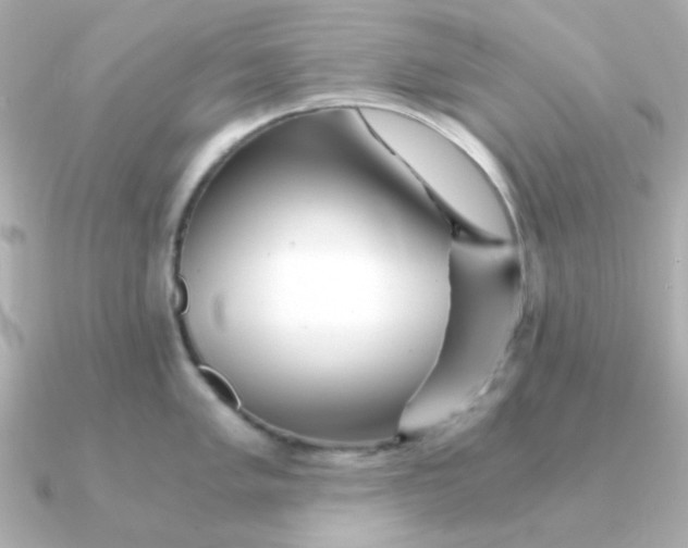 X0000090721005200708101549
