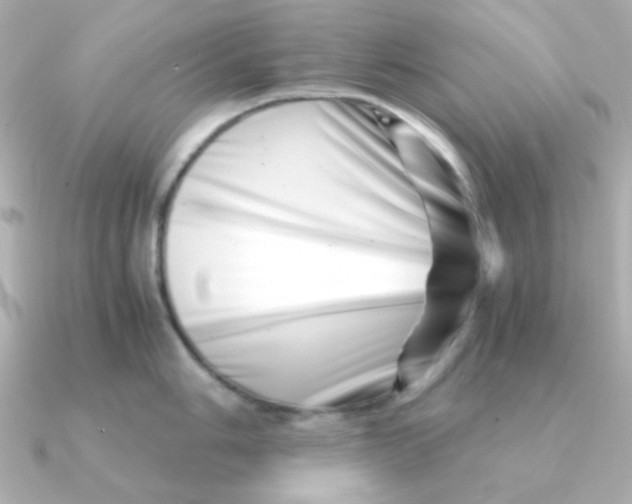 X0000090721006200708101549