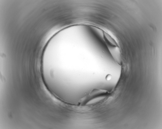 X0000090721007200708101549