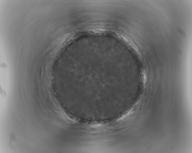 X0000090721009200708101549
