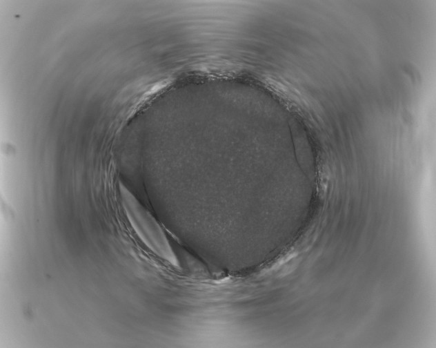 X0000090721010200708101549