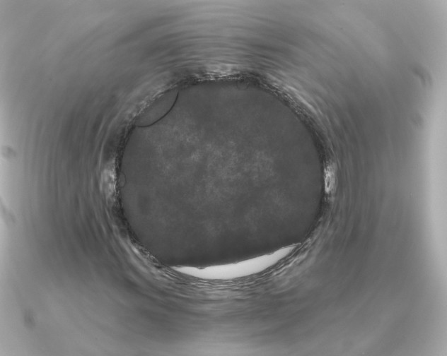 X0000090721011200708101549