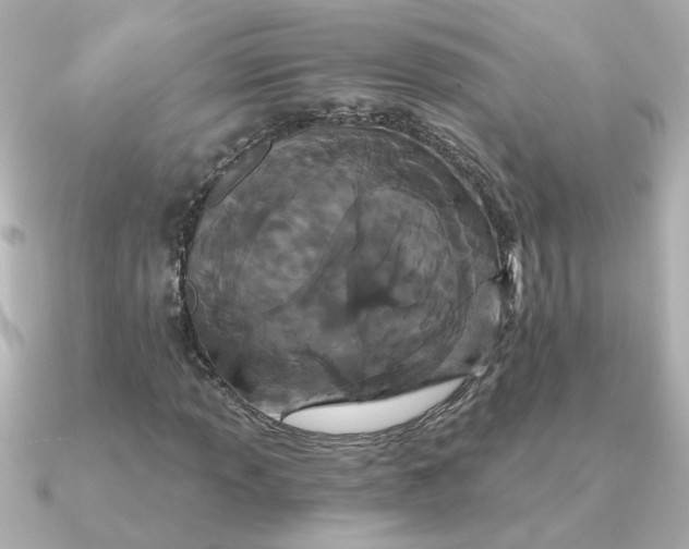 X0000090721013200708101549