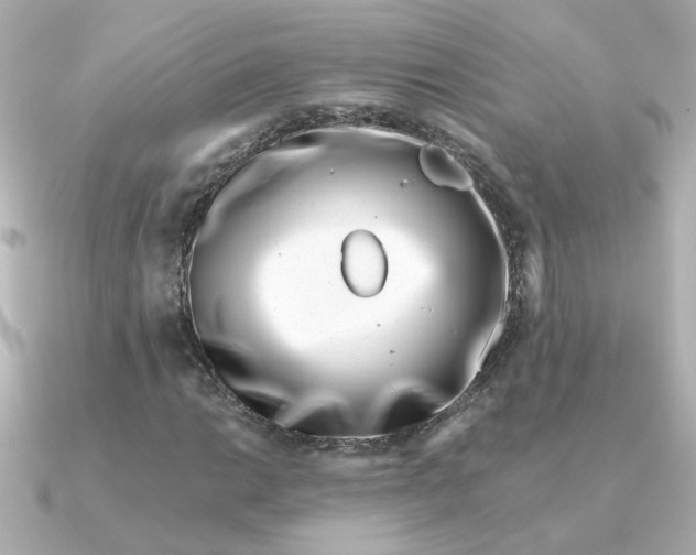 X0000090721014200708101549