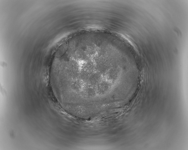 X0000090721015200708101549