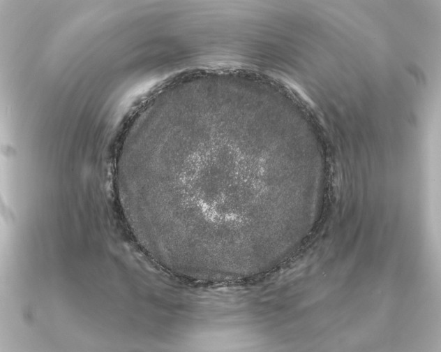 X0000090721016200708101549