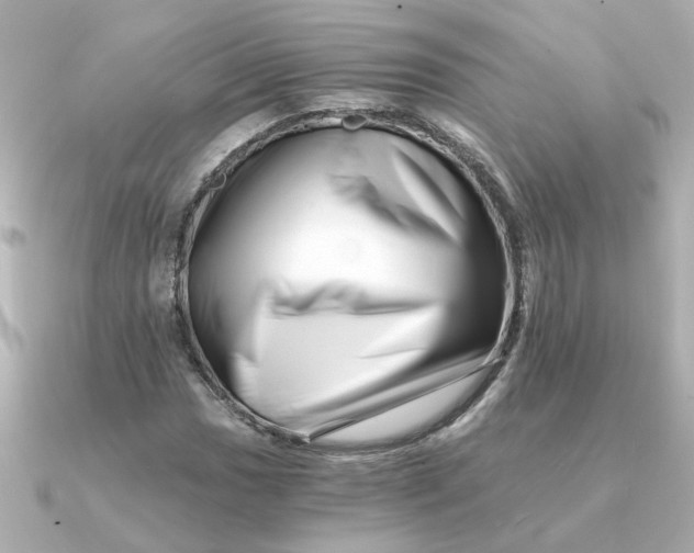 X0000090721017200708101549