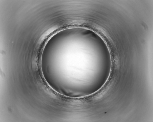 X0000090721018200708101549