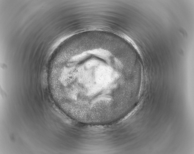 X0000090721019200708101549