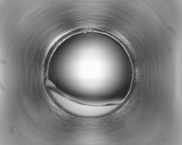 X0000090721020200708101549