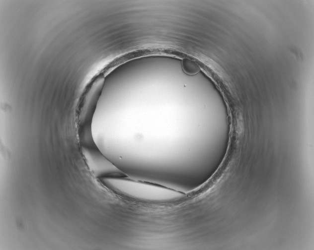 X0000090721022200708101549