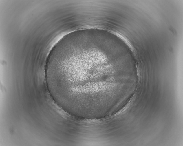 X0000090721023200708101549