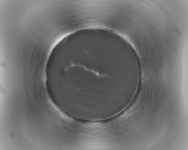X0000090721024200708101549
