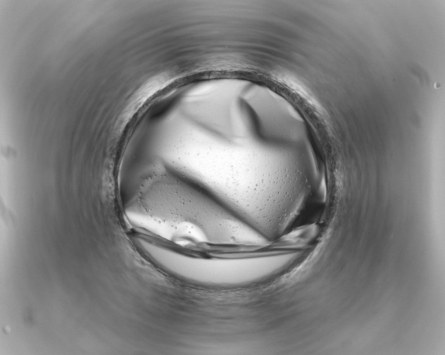 X0000090721025200708101549