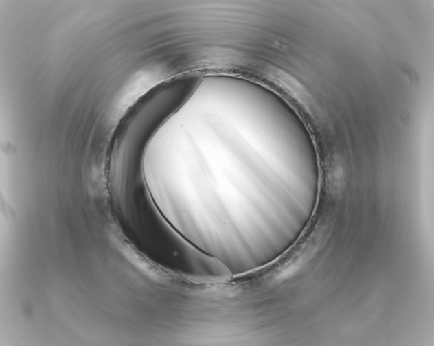 X0000090721026200708101549