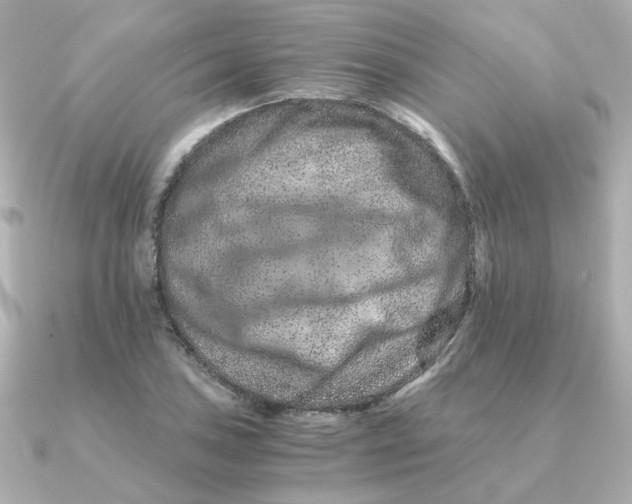 X0000090721027200708101549