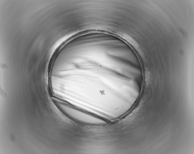 X0000090721028200708101549