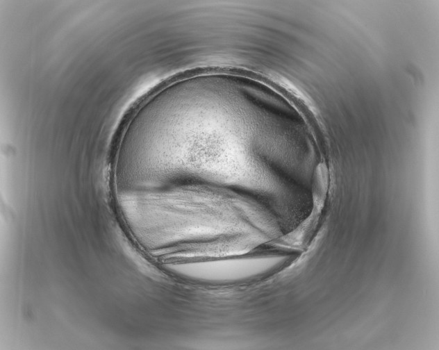 X0000090721029200708101549
