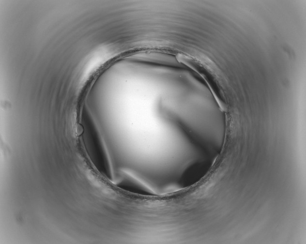 X0000090721030200708101549