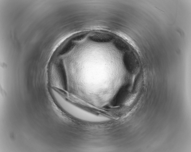 X0000090721031200708101549