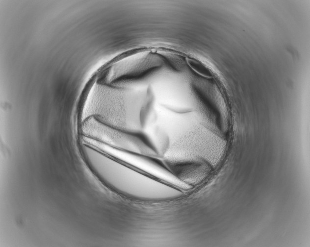 X0000090721032200708101549