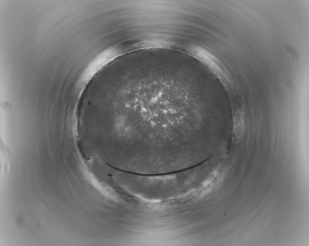 X0000090721034200708101549